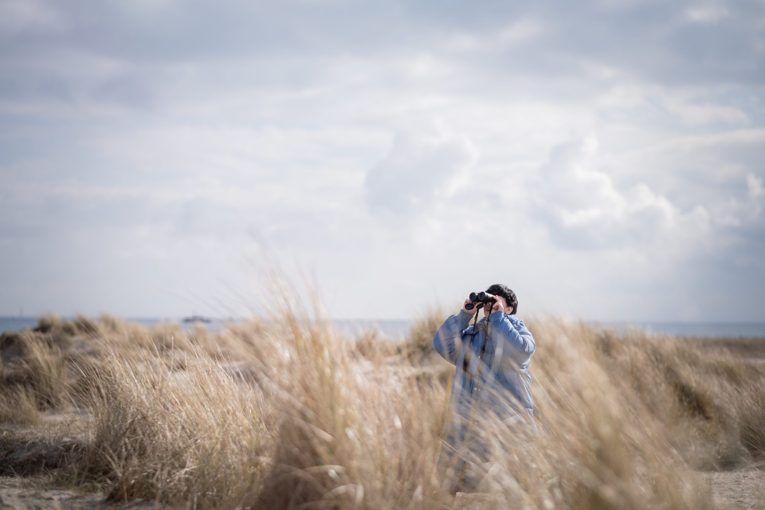 Mit Fernrohr in die Weite schauen – Symbolbild für die Coachinggruppe Hochsensibilität